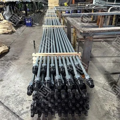 Princeps Virtus Sucker Rod